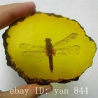 Beautiful Amber Dragonfly Fossil Insects Manual Polishing