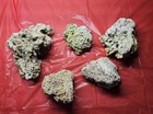 Marine Aquarium Live Rock Porous Assorted Pieces Lot 5pc 6 14 Lb Total