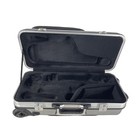 Carbon Fiber Alto Saxophone Case   Wheels  Extras   Backpack Straps Silver