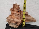 15 Driftwood Pine Knots Various Sizes Decorative Or Diy Crafts  pn 35
