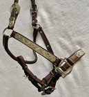 Tory Beautiful Horse Size Silver Show Halter  halter Or Showmanship 5-way Adjust