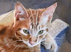 Orange Marmalade Tabby Cat Art Giclee Print Tiger Watercolor Picture Decor