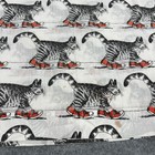 Kilban Striped Tabby Cat In Red Sneakers Shoes 1960s - Queen Or King - 80  X 92 