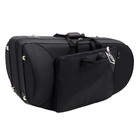 Willson Model 2950ta4 3s Professional Compensating Euphonium