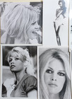 Lot Of  11 Vintage  Brigitte Bardot 8x10 Promotional Publicity Photos - A