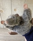 Vintage Folktales Hand Puppet Plush Rat 