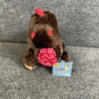 Webkinz Ganz Cocoa Dinosaur Hm338 Unused Sealed Code Retired Stuffed Animal Nwt