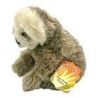 Baby Sloth Hand Puppet By Folkmanis  new With Tags 