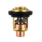 Thermostat Kit With Gasket Johnson Evinrude  5-235 Hp  18-3672 For 434841 310058