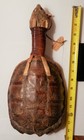 Native American Snapping Turtle Long House Rattle Circa 1890s 13 5 x7 5 