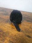 Dakin Vintage Black Plush Cat Chubby Kitty 1980 Japan Artists Society 4 