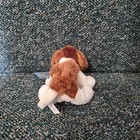 Webkinz Lil Kinz St Bernard Hs012 6  Plush Ganz Sealed Unused Code Nwt