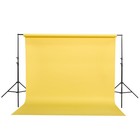 Flashpoint 10  Background Support System - Cushioned