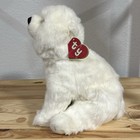 Ty Classic Plush 1989 Sugar White Polar Bear 2nd Gen Hang Tag 1st Gen Tush