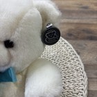 Vintage Princess Soft Toys White Teddy Bear Plush 12    Stuffed Animal 1998