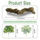 Apatal 2-pcs Reptile Climbing Wood Branches Lizard Snake Habitat Decor