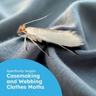 Bugmd Clothes Moth Boss Traps  6 Count  Green  - Sticky Glue Bug Repellent Phero
