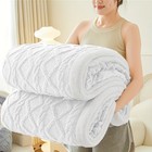 400gsm Ultra Soft Fleece Throw Blanket Twin Queen King  Cozy Bed Sofa Blanket