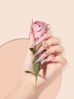 500pcs Stiletto Nail Tips For Acrylic Nails  Xl Long Clear False Nails Tips S   