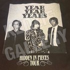Yeah Yeah Yeahs 2025 Chicago Theatre Signed Vip Package Poster Tote Bag Lanyard