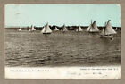 Western Australia 1904 2d Yellow Swan On Yacht Race On Swan River Postcard To Uk