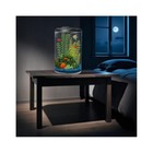 6 gallon Fish Tank Kit  Led Lighting  Filter  Vibrant Colors   Clear View