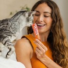 Churu Cat Snacks Lick Squeeze Cream Pur    E With Vitamin E 0 5 Oz Per-