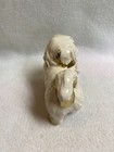 Vintage Standing Pekingese Dog Figurine