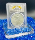Burnished 2017  w   1 Silver Eagle Fs Pcgs Sp70 225th Anniversary Spotless 