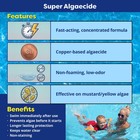 In The Swim Super Algaecide - 7 1  Copper Pool Algaecide