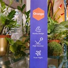 Arewyt 12-pack Orange Pickleball Balls 26 Holes Indoor High Bounce Performance