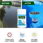 Pool Chlorine Floater 6 Inch Dispenser Adjustable Release Swimming Pool Spa Us