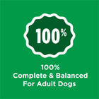 Purina  Complete  Dry Dog Food For Adult Dogs High Protein  Real Chicken  44 Lb 