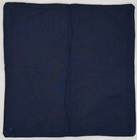 Pottery Barn Jannika Embroidered Pillow Cover   20  X 20    Blue