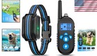 Waterproof Dog Training Electric Collar Rechargeable Remote Control 875 Yards Us