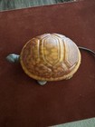Vintage Turtle Tortoise Lamp Night Light Amber Glass Shell Cast Brass Metal