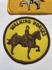Two Vintage Walking Horse And Saddle Horse Embroidered Patches