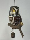 Saw-whet Owl