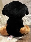 Ty Beanie Baby Trevour The Rottweiler New  Nwmt