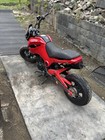 Icebear Fuerza 125cc Motorcycle - Pmz125-