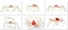 Bandai Gashapon Crab 02 Action Figure Japanese Spider Crab 25 Cm Import Japan