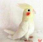 Simulation Bird Cockatiel Parrot Doll Bird Stuffed Animal Plush Toy Kids Gift