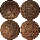 Lot Of 20 Braided Hair Large Cent Coins 1839-1857 Wayte Raymond Album Board Page