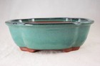 Fine Lotus Glazed Bonsai Pot  Cactus   Succulent Planter With Mesh - 9 5    12 