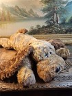 Nwt Vintage 1994 Elvis The Puppy Ty Beanie Buddy Plush Stuffed Brown Dog Toy