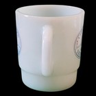 Vintage Termocrisa Milk Glass Souvenir City Of Rocks National Reserve