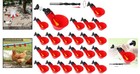 12pack Automatic Chicken Waterer Cups - Hassle-free Bird Hydration Solution
