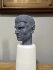 1 6 Scale Star Trek Next Generation Romulan Tomalak Custom Head Sculpt