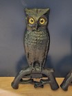 Antique 14  Fireplace Owl  Andirons Fire Dogs Glass Eyes Missing Eye No Arms