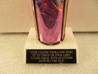 Gymnastics Award Trophy 12  Free Custom Engraving  support The Vet 